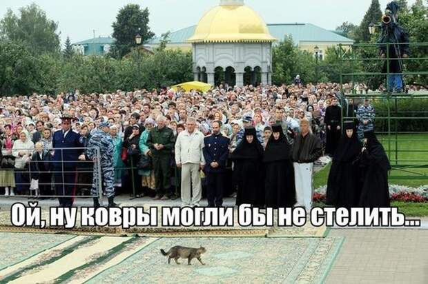 Прикольные картинки