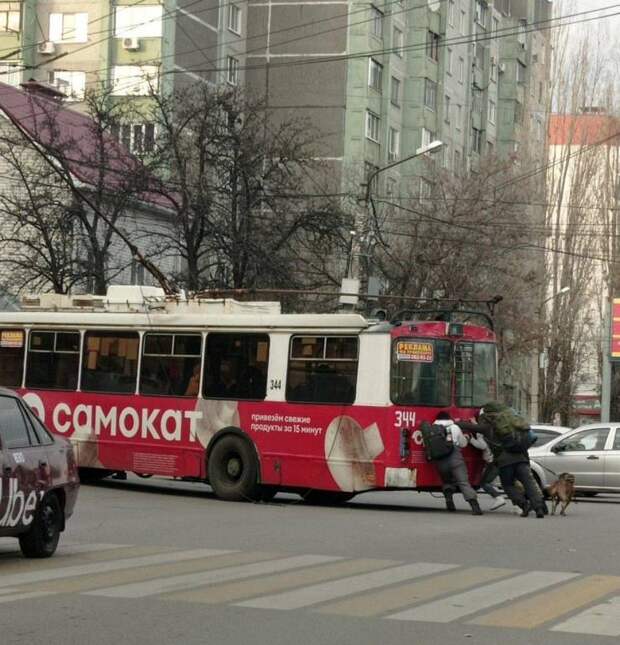 Смешные картинки 7 декабря 2021 года