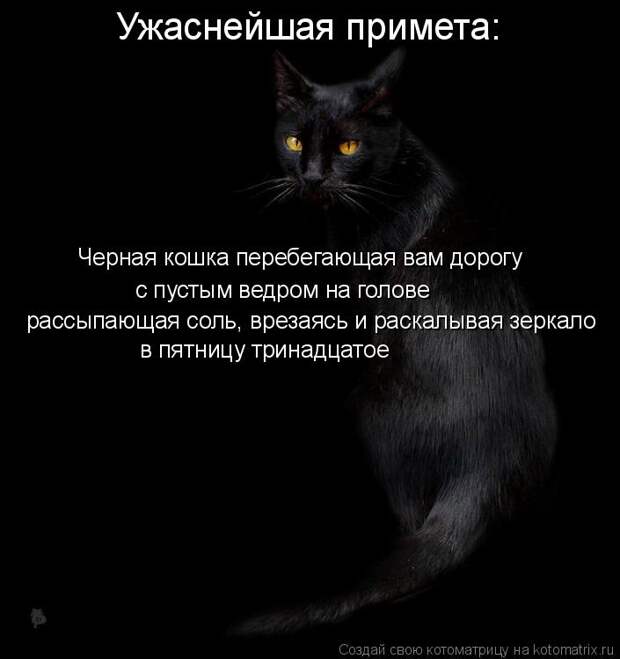 Котоматрица: Ужаснейшая примета: Черная кошка перебегающая вам дорогу с пустым ведром на голове рассыпающая соль, врезаясь и раскалывая зеркало в пятни