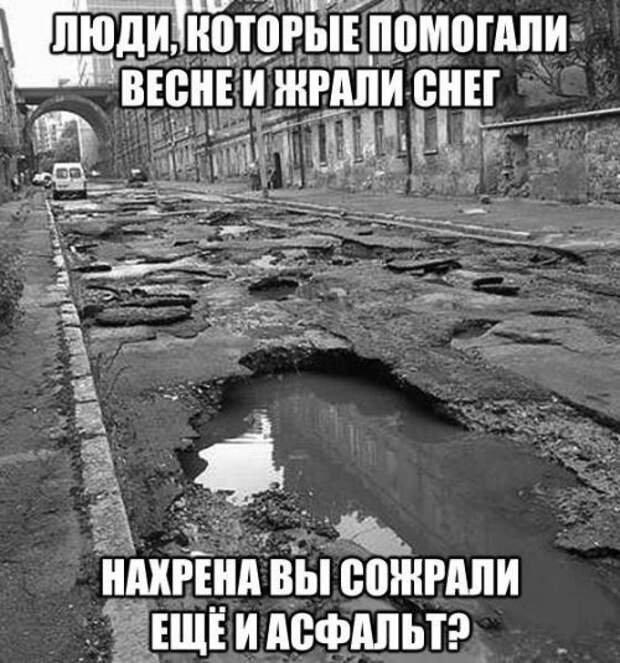 Прикольные картинки перед выходными (31 шт)