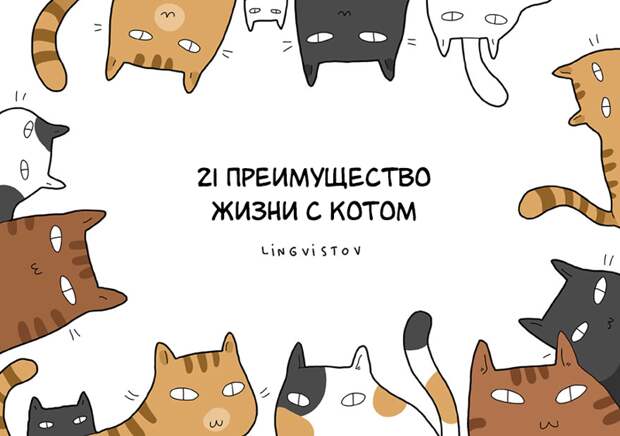 21 преимущество жизни с котом животные, иллюстрации, кошки