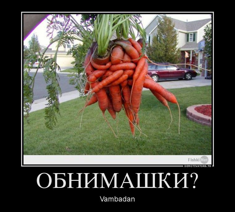 Демотиваторы демотиваторы, прикол, смех, юмор