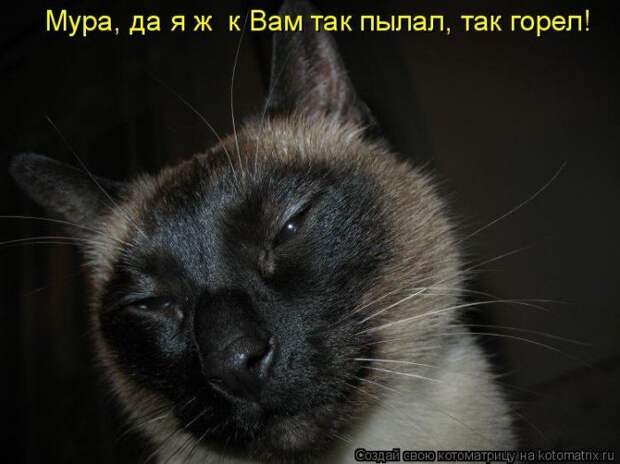 Мысли вслух :)