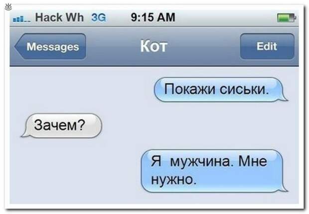 Весёлые надписи из соцсетей 16