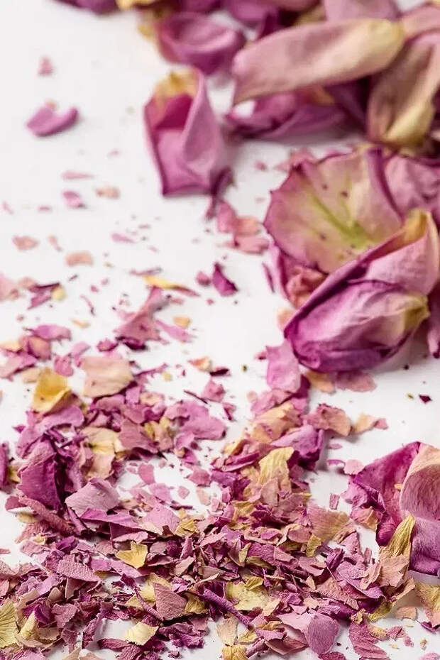 Как высушить лепестки роз за 2 минуты, сохранив их форму и цвет