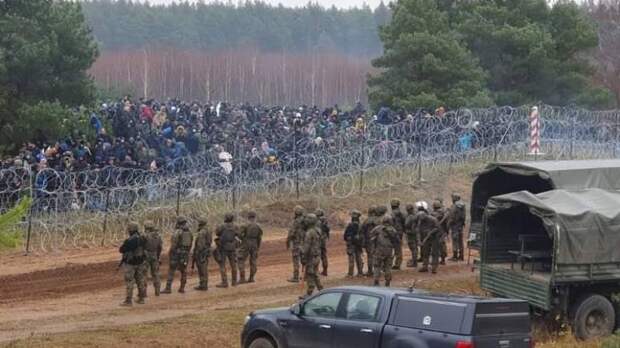 Военкор Коц объяснил, почему Украина может открыто угрожать мигрантам