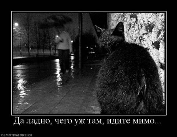 Демотиваторы о чувствах и любви.