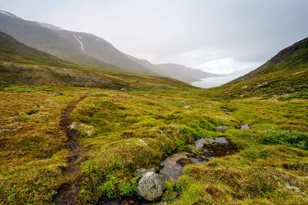 Dark & Wet Morning Arctic Circle Trail Landscape