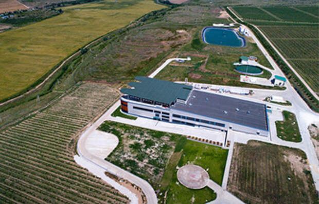 Винодельческое хозяйство Alma Valley в селе Вилино Бахчисарайского района 