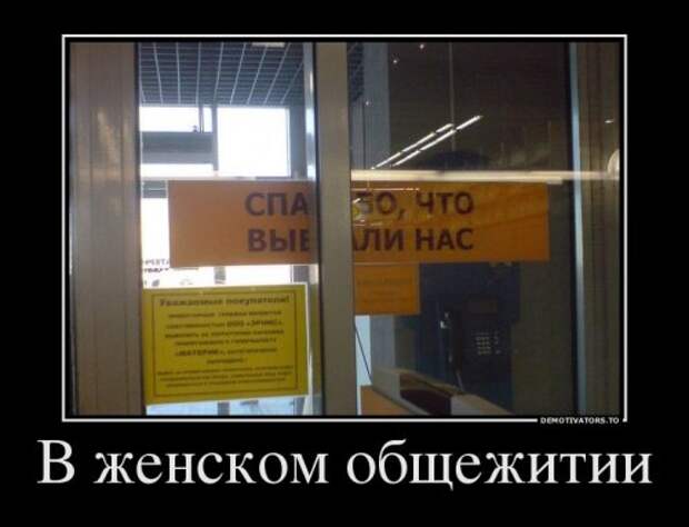 Демотиваторы-приколы (16 шт)
