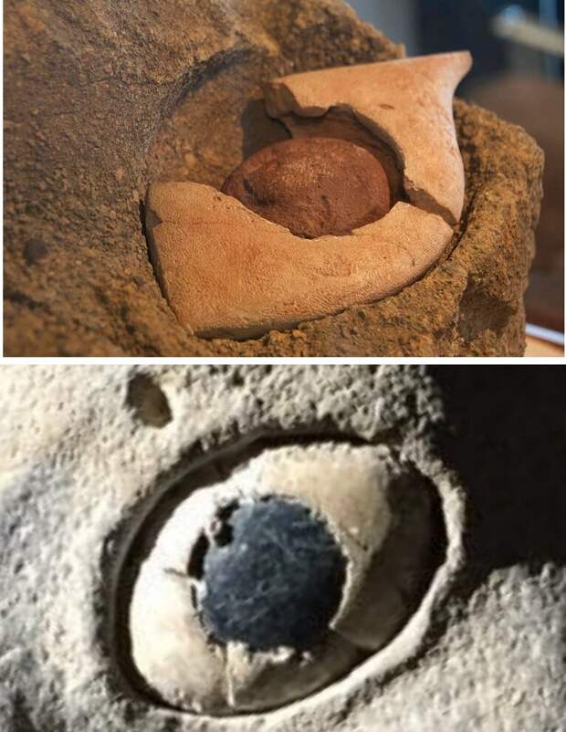 Сверху - глаз со статуи о. Пасхи, снизу - глаз со статуи хеттского короля Суппилулиума