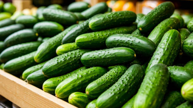 ФАС проведет проверку резкого повышения цен на огурцы в розничных сетях