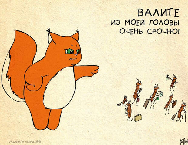 20 комиксов о белке Ши, которые поймёт каждая девушка 20 комиксов о белке Ши, которые поймёт каждая девушка белка, девушка, комикс