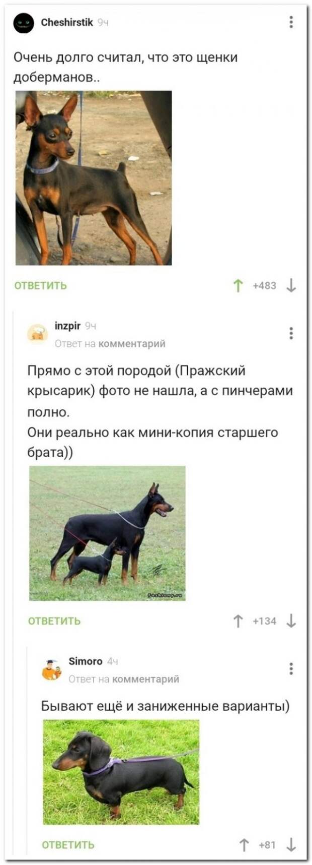 Забавные комментарии из социальных сетей