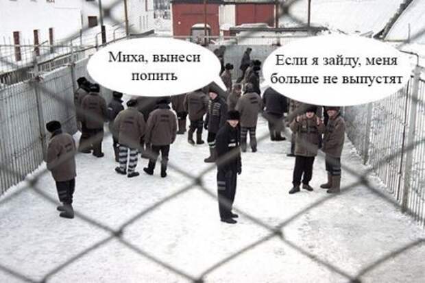 Фото приколы, позитив быстро и качественно.