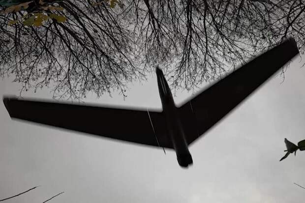 Выяснилось, для чего Украина бьет по нефтяным терминалам и как прекратить налёты на Россию