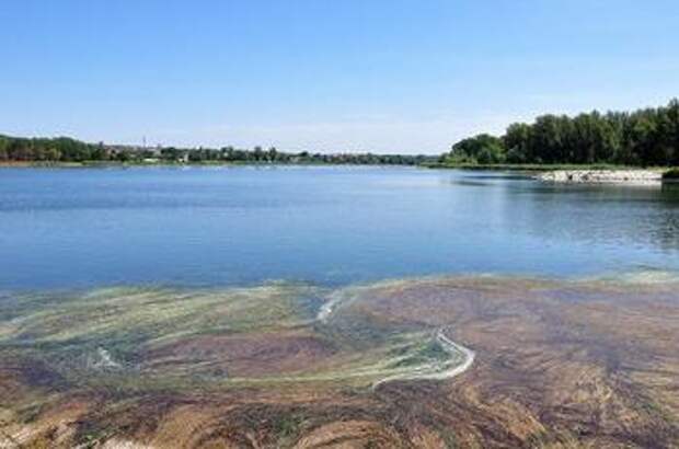 Ростовское море ростов на дону фото