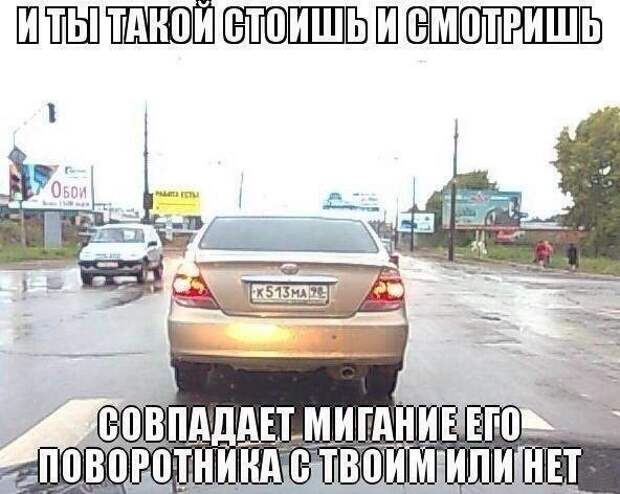 Смешные картинки с надписями прикол, юмор