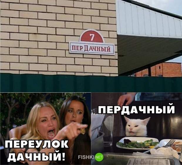 И снова всё опровергающий котик И снова всё опровергающий котик