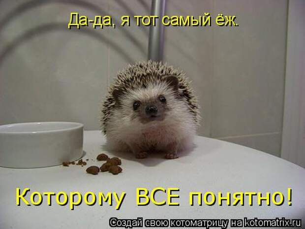 http://ekabu.unistoreserve.ru/50ef8d0c7efa6e693f5c8fc0