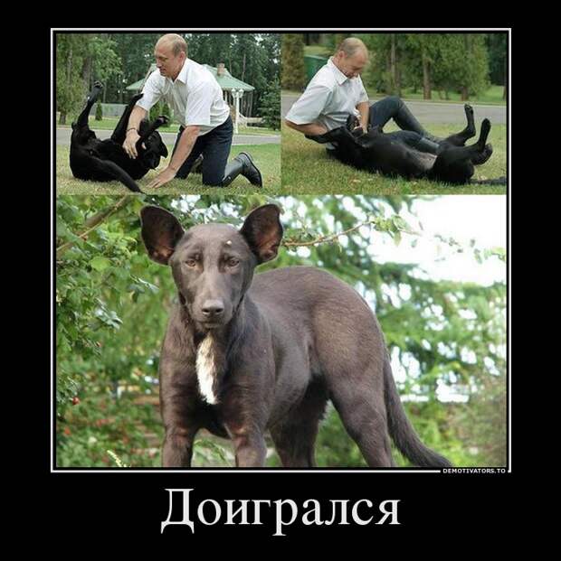 Демотиваторы 