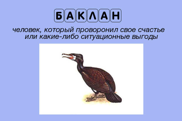 Школьный жаргон нашего времени Школьный жаргон нашего времени детство, жаргон, школа