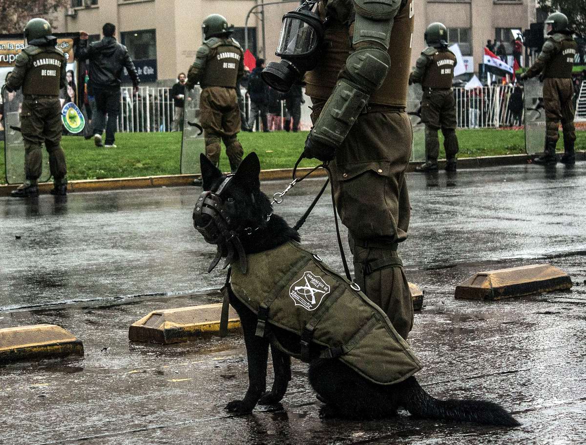 Чилийские карабинеры - полицейская гвардия своей страны (40)