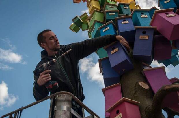 Датский художник сколотил уже 3500 скворечников из вторсырья, чтобы удержать птиц в городах
