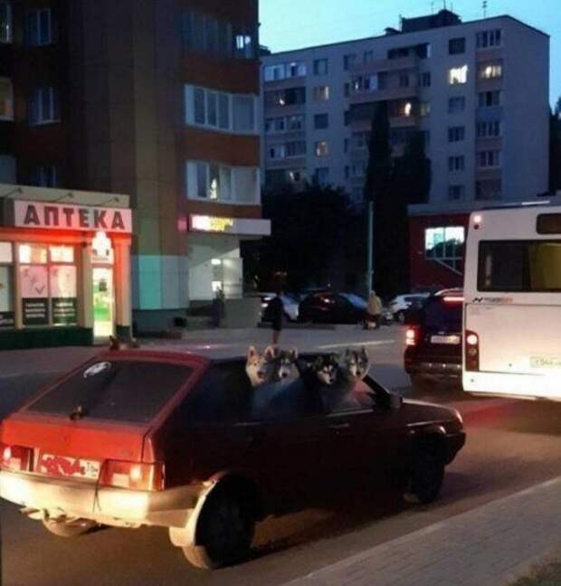 1573392037_25.jpg