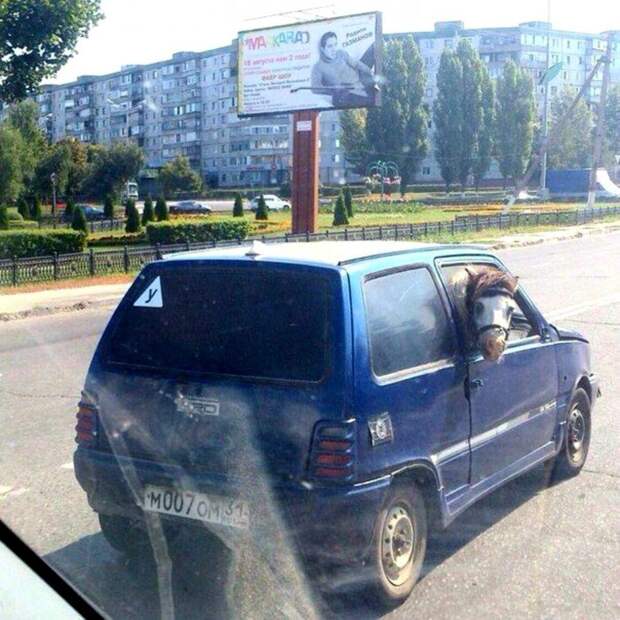 Подборка автоприколов. Часть 195 автоприколы, приколы