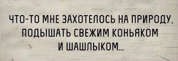 Классные цитаты дня