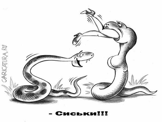 КАРИКАТУРЫ КАРИКАТУРЫ