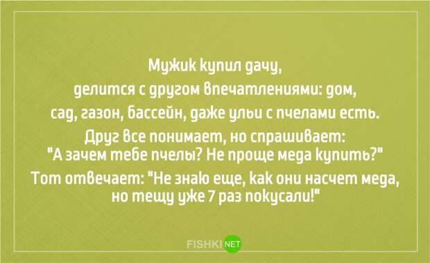 25 анекдотов про тещу Анекдоты, юмор