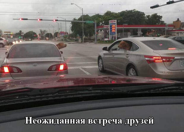 ПОДБОРКА ФОТОПРИКОЛОВ № 216