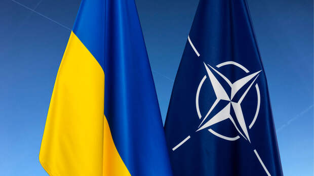 В США назвали «малореальным» приглашение Украины в НАТО на саммите в Вашингтоне