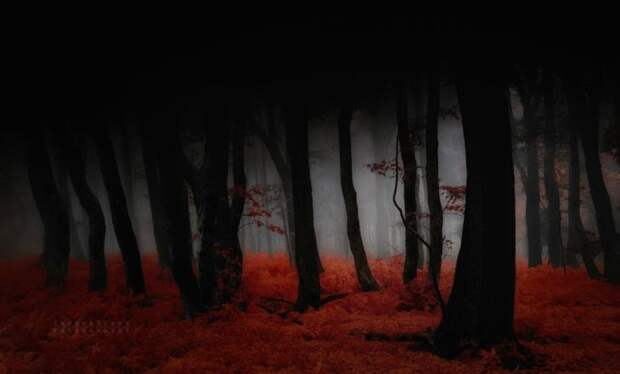 Красивые фотографии чешского фотографа Janek Sedlar