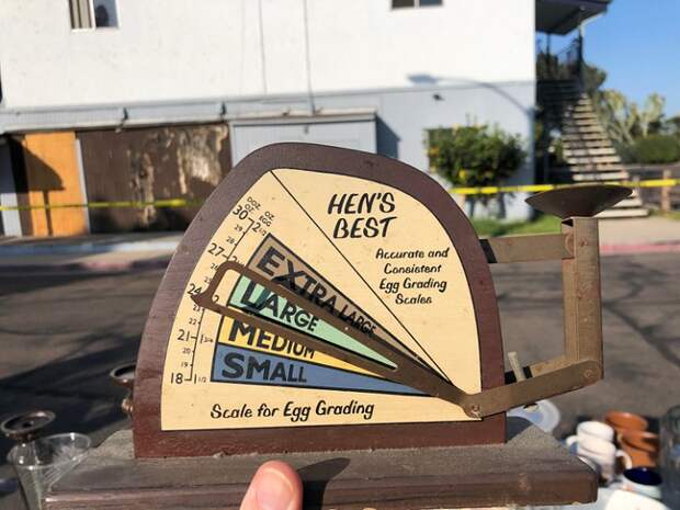 Не самый известный ныне способ, как определить качество яйца. /Фото: billionnews.ru Не самый известный ныне способ, как определить качество яйца. /Фото: billionnews.ru