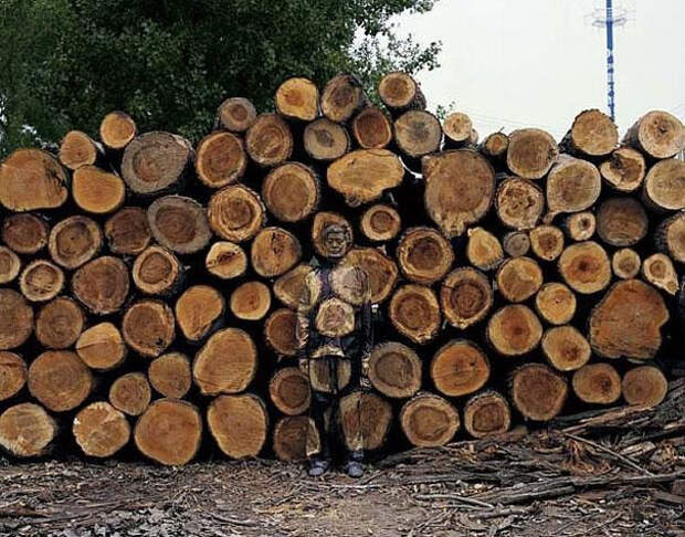Невидимка Лю Болин бревна