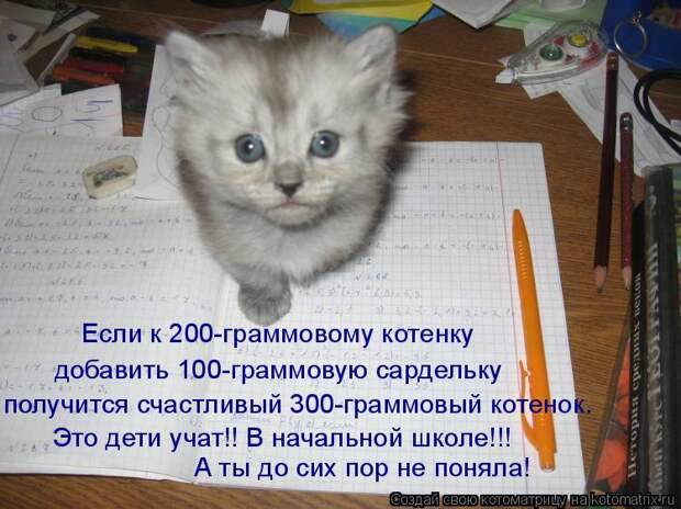 Котоматрица: Если к 200-граммовому котенку добавить 100-граммовую сардельку получится счастливый 300-граммовый котенок. Это дети учат!! В начальной школе!!! А