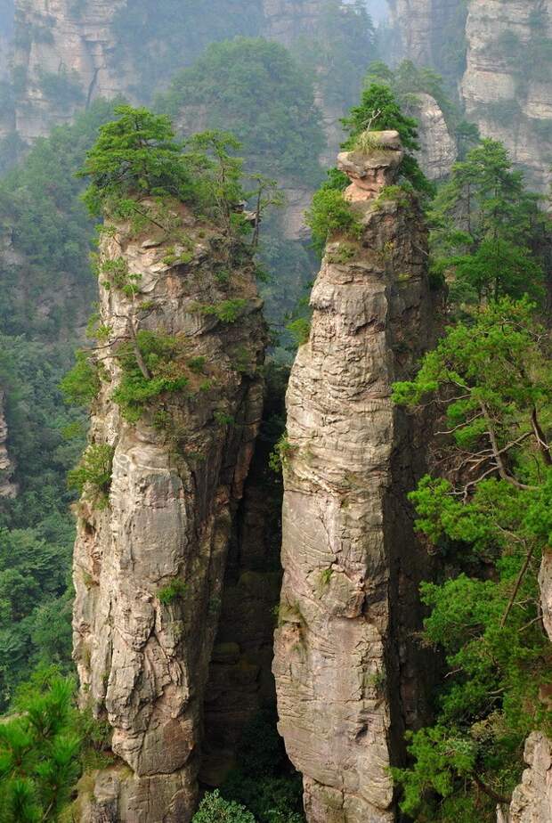 Национальный парк Чжанцзяцзе (Горы Улинъюань). Китай