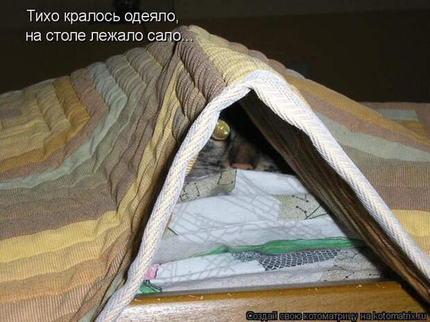 3518263_salo (700x524, 68Kb)