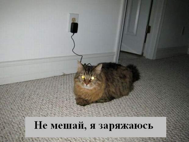 Мысли :) (50мыслей)