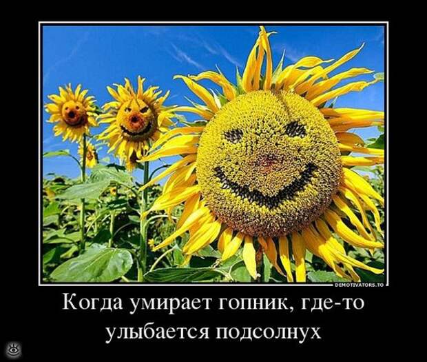 Удачные демотиваторы 22