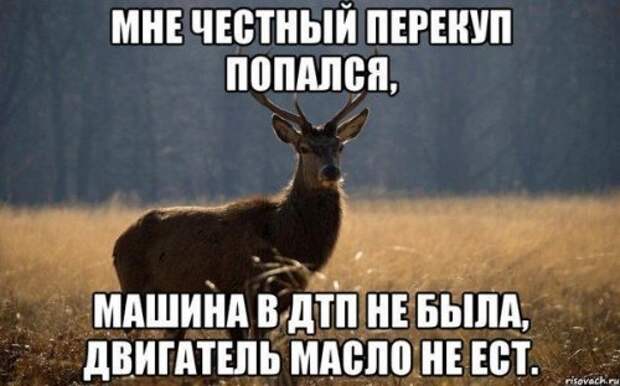 Автоприколы - дураки и дороги