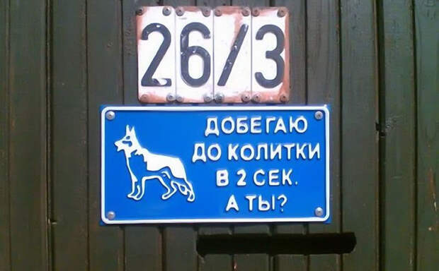 Звучит убедительно: 20 остроумных табличек собака, табличка, юмор