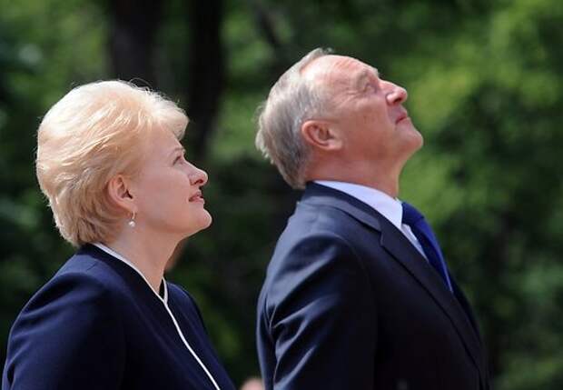 У президентов Латвии и Литвы наметились разногласия в отношении к России