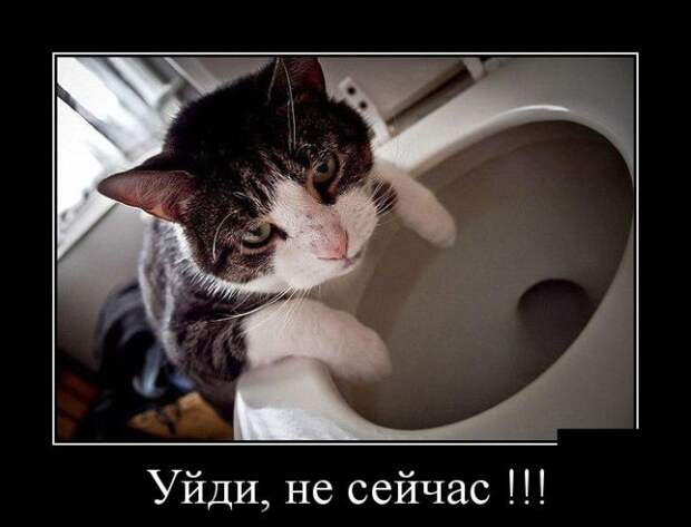 Демотиваторы (30 фото) Демотиваторы (30 фото)