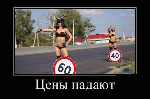 Прикольные и смешные фото девушки, животные, коты, прикол, юмор