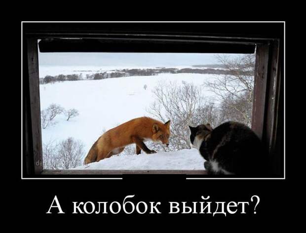 Демотиваторы (30 фото) Демотиваторы (30 фото)
