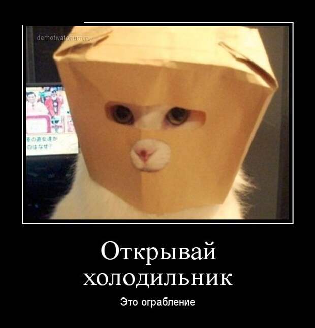 27 демотиваторов дня от 26-02-2015